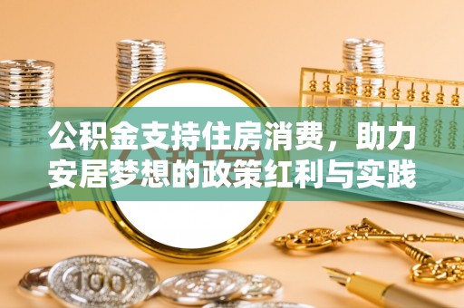 政策公积金支持住房消费，助力安居梦想的政策红利与实践