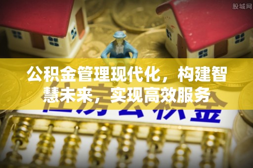 政策公积金管理现代化，构建智慧未来，实现高效服务