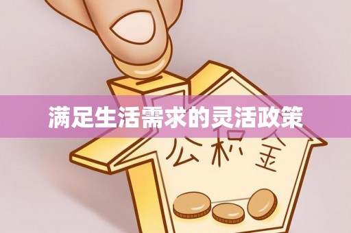 政策满足生活需求的灵活政策