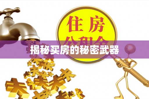 政策揭秘买房的秘密武器