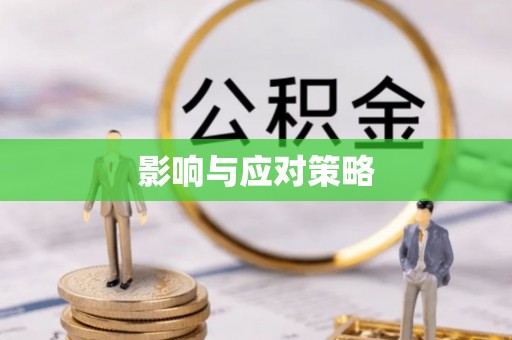 政策影响与应对策略