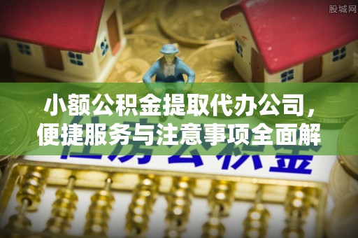 政策小额公积金提取代办公司，便捷服务与注意事项全面解析