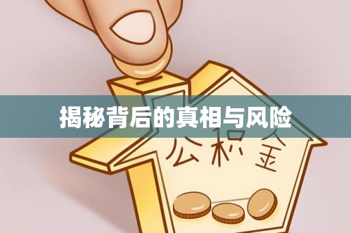 政策揭秘背后的真相与风险