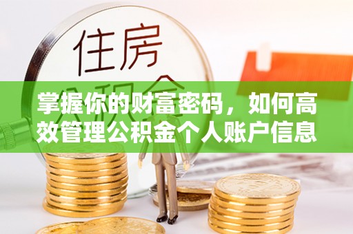 政策掌握你的财富密码，如何高效管理公积金个人账户信息