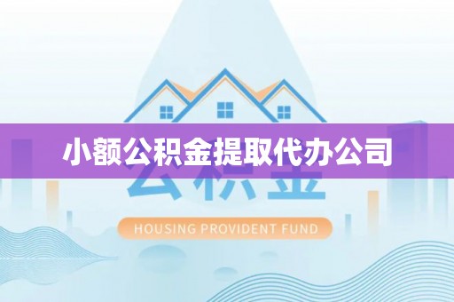 政策小额公积金提取代办公司
