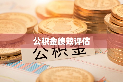 政策公积金绩效评估