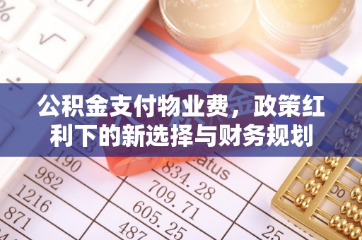 政策公积金支付物业费，政策红利下的新选择与财务规划