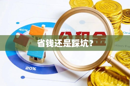 政策省钱还是踩坑？