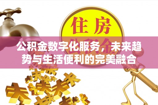 政策公积金数字化服务，未来趋势与生活便利的完美融合