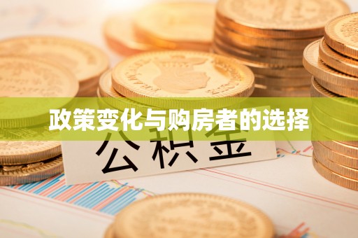 政策变化与购房者的选择