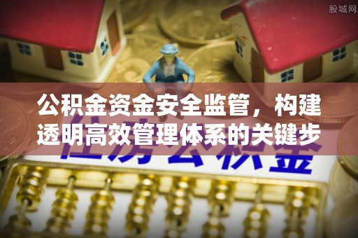 政策公积金资金安全监管，构建透明高效管理体系的关键步骤
