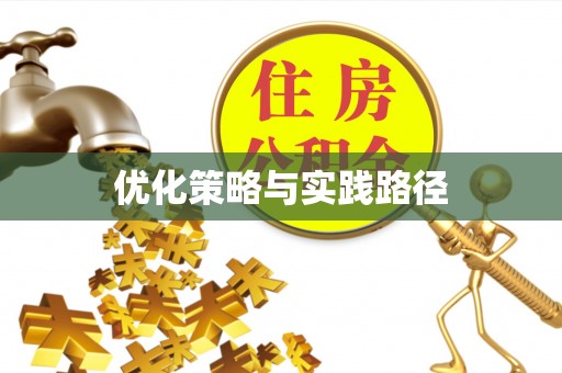 政策优化策略与实践路径