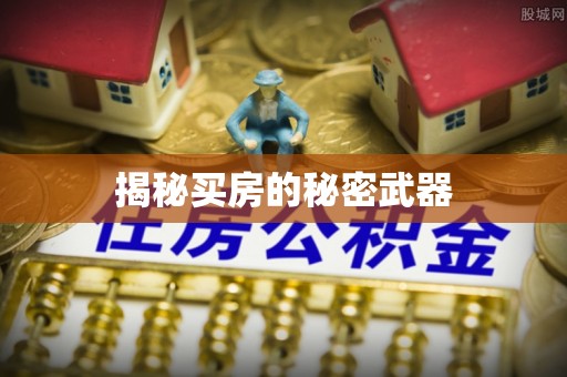 政策揭秘买房的秘密武器
