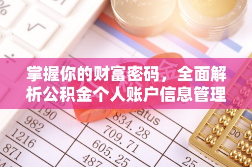 政策掌握你的财富密码，全面解析公积金个人账户信息管理
