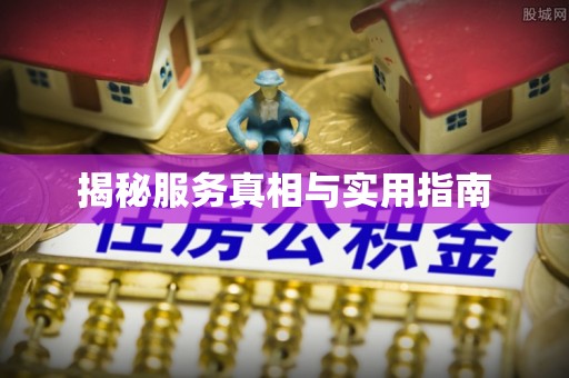 政策揭秘服务真相与实用指南