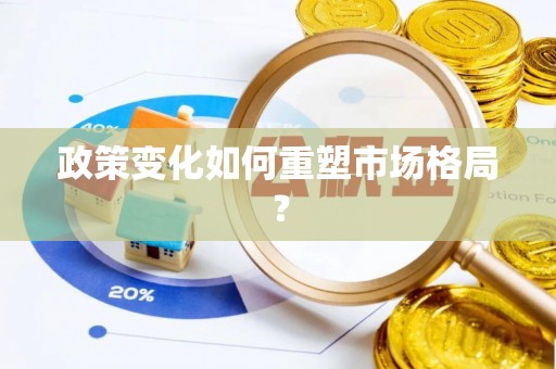 政策变化如何重塑市场格局？