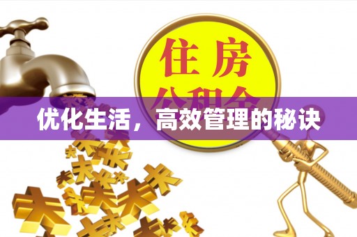 政策优化生活，高效管理的秘诀