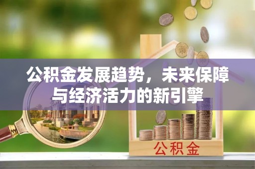 政策公积金发展趋势，未来保障与经济活力的新引擎