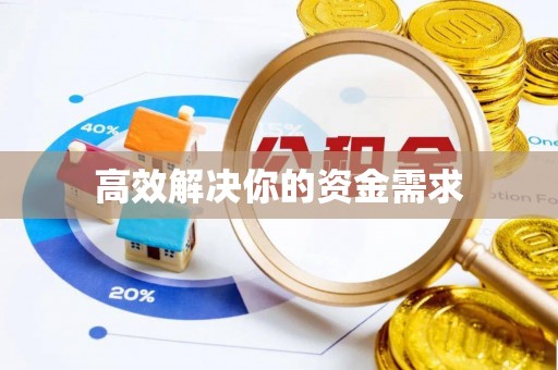 政策高效解决你的资金需求