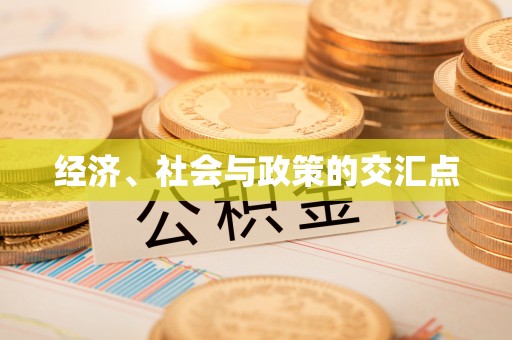 政策经济、社会与政策的交汇点