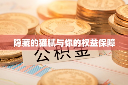 政策隐藏的猫腻与你的权益保障