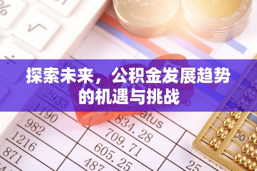 政策探索未来，公积金发展趋势的机遇与挑战