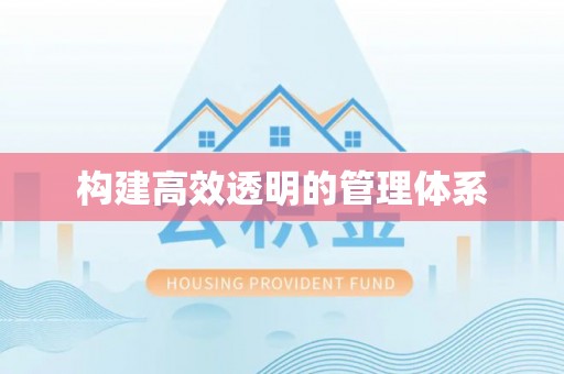政策构建高效透明的管理体系