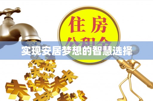 政策实现安居梦想的智慧选择