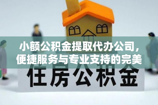 政策小额公积金提取代办公司，便捷服务与专业支持的完美结合