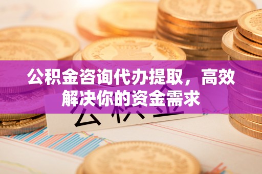 政策公积金咨询代办提取，高效解决你的资金需求