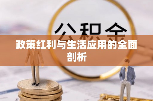政策红利与生活应用的全面剖析