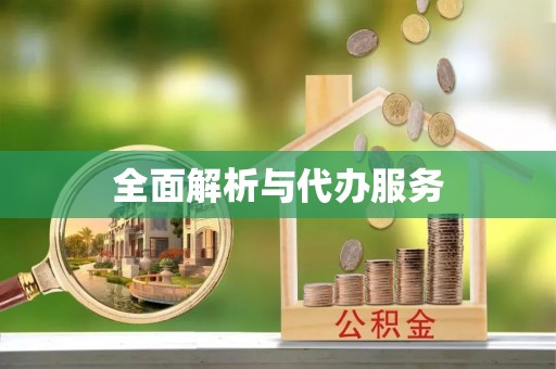 政策全面解析与代办服务