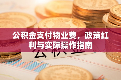 政策公积金支付物业费，政策红利与实际操作指南