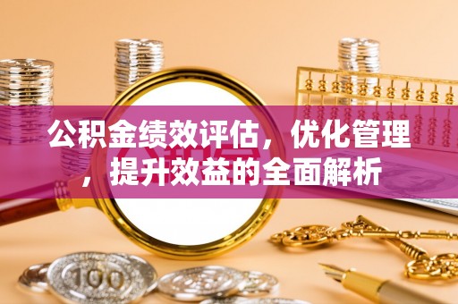 政策公积金绩效评估，优化管理，提升效益的全面解析
