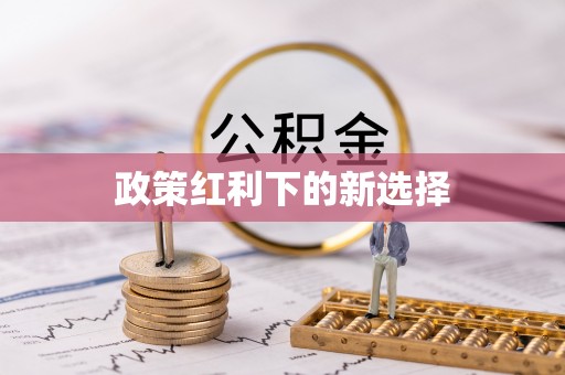 政策红利下的新选择