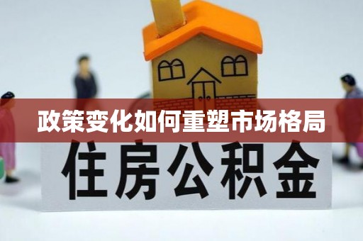 政策变化如何重塑市场格局