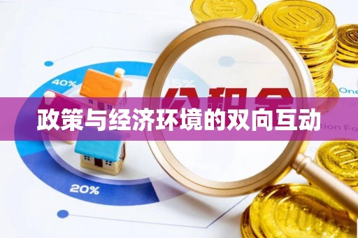 政策与经济环境的双向互动