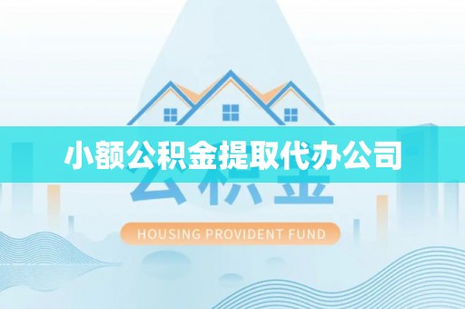 政策小额公积金提取代办公司