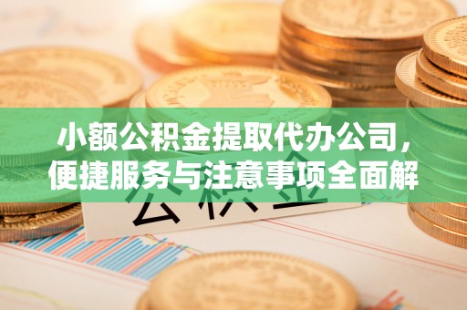 政策小额公积金提取代办公司，便捷服务与注意事项全面解析