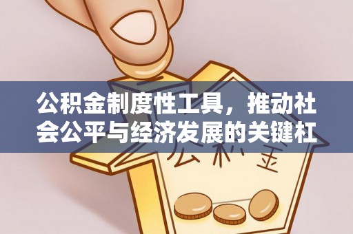 政策公积金制度性工具，推动社会公平与经济发展的关键杠杆