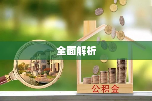 政策全面解析