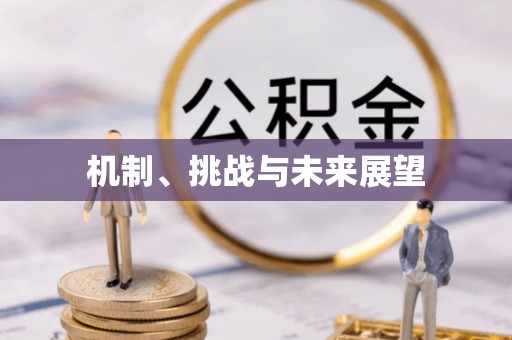 政策机制、挑战与未来展望