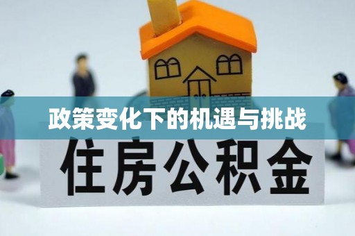 政策变化下的机遇与挑战